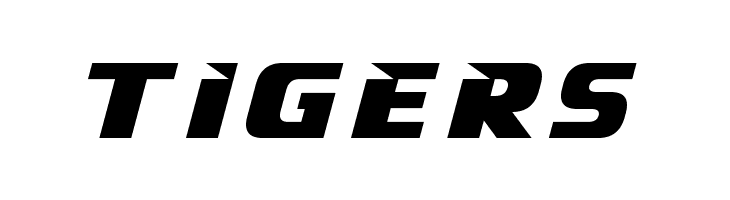 Outdoor Dynamic  Free Fonts Download