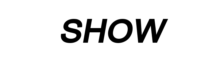 ER Univers 866 Bold Italic  Free Fonts Download