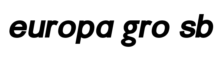 ER Univers 866 Bold Italic  Free Fonts Download