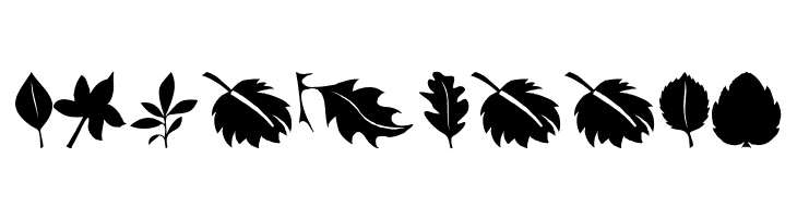 Leaves  Free Fonts Download