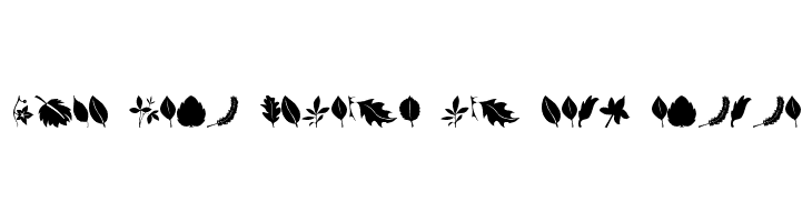 Leaves  Free Fonts Download