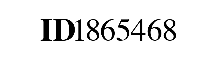 Tempo Indications Lite  Free Fonts Download