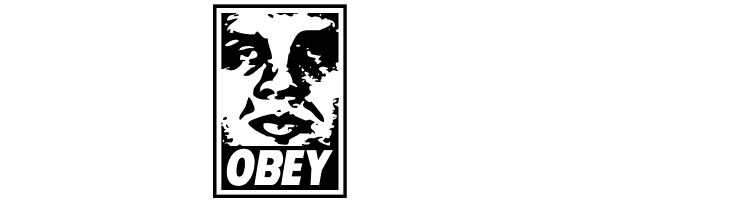 ObeyEssenceCaps  Free Fonts Download