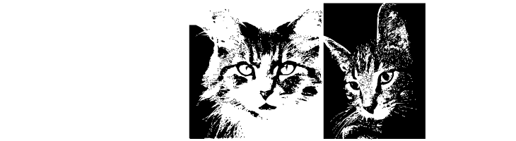 CatBats  Free Fonts Download