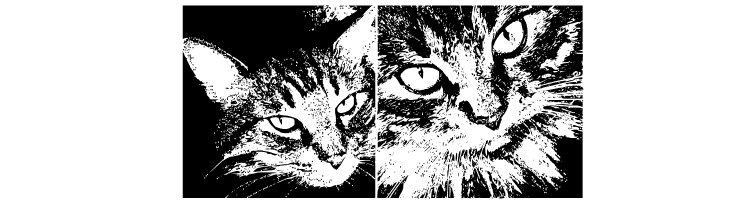 CatBats  Free Fonts Download