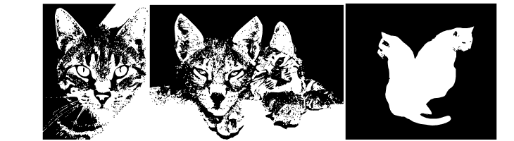 CatBats  Free Fonts Download