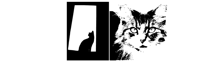 CatBats  Free Fonts Download