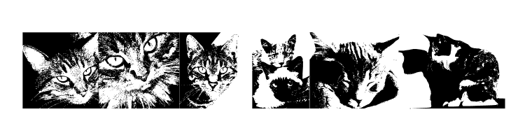 CatBats  Free Fonts Download