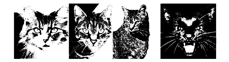 CatBats  Free Fonts Download