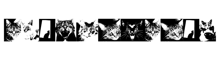 CatBats  Free Fonts Download