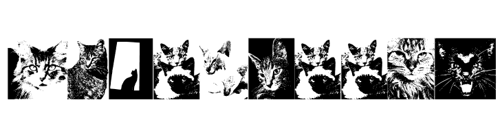 CatBats  Free Fonts Download