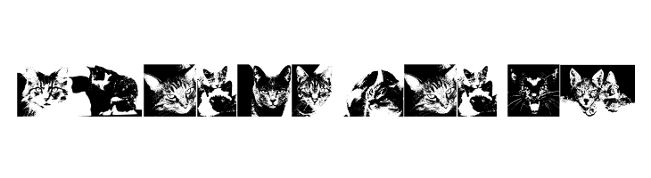 CatBats  Free Fonts Download