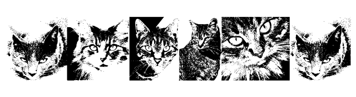 CatBats  Free Fonts Download