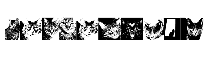 CatBats  Free Fonts Download