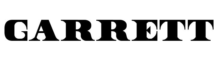 Dollar Bill  Free Fonts Download