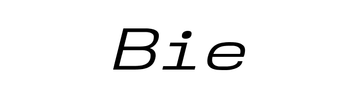 NK57MonospaceExBk-Italic  Free Fonts Download