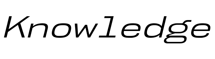 NK57MonospaceExBk-Italic  Free Fonts Download