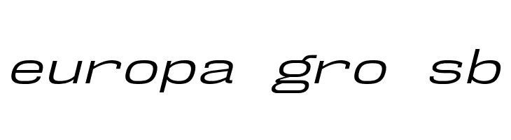 NK57MonospaceExBk-Italic  Free Fonts Download
