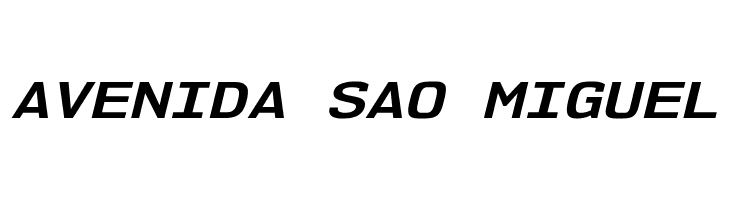 NK57MonospaceExRg-BoldItalic  Free Fonts Download