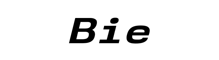 NK57MonospaceExRg-BoldItalic  Free Fonts Download