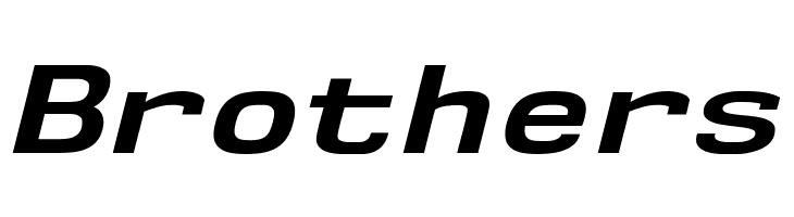 NK57MonospaceExRg-BoldItalic  Free Fonts Download