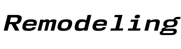 NK57MonospaceExRg-BoldItalic  Free Fonts Download