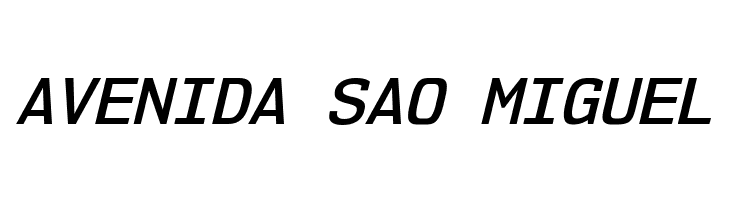 NK57MonospaceSb-Italic  Free Fonts Download