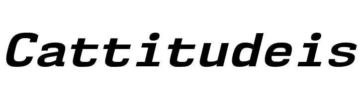 NK57MonospaceSeRg-BoldItalic  Free Fonts Download