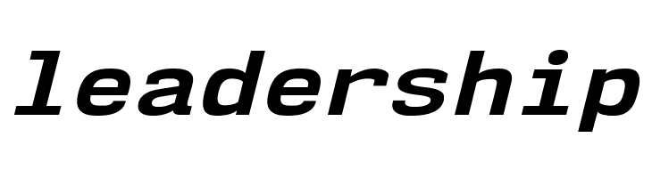 NK57MonospaceSeRg-BoldItalic  Free Fonts Download