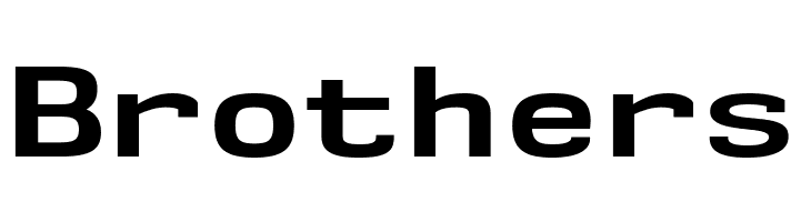 NK57MonospaceExRg-Bold  Free Fonts Download