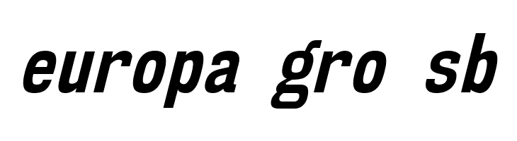 NK57MonospaceCdRg-BoldItalic  Free Fonts Download