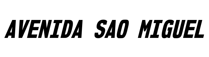 NK57MonospaceCdEb-Italic  Free Fonts Download