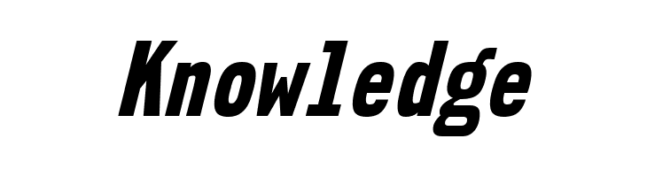 NK57MonospaceCdEb-Italic  Free Fonts Download