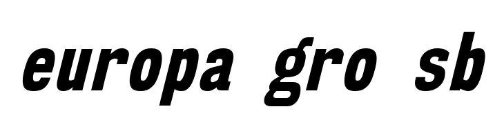 NK57MonospaceCdEb-Italic  Free Fonts Download
