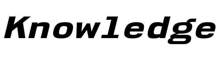 NK57MonospaceExEb-Italic  Free Fonts Download