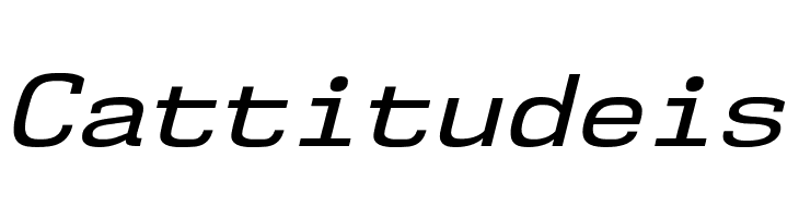 NK57MonospaceSeRg-Italic  Free Fonts Download