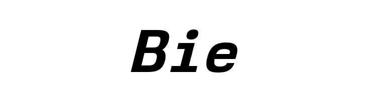 NK57MonospaceRg-BoldItalic  Free Fonts Download