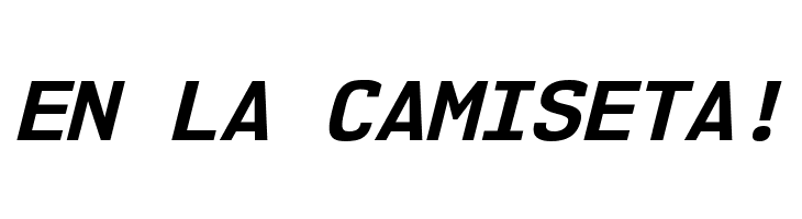 NK57MonospaceRg-BoldItalic  Free Fonts Download