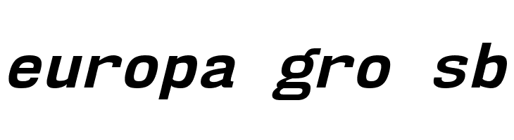 NK57MonospaceRg-BoldItalic  Free Fonts Download