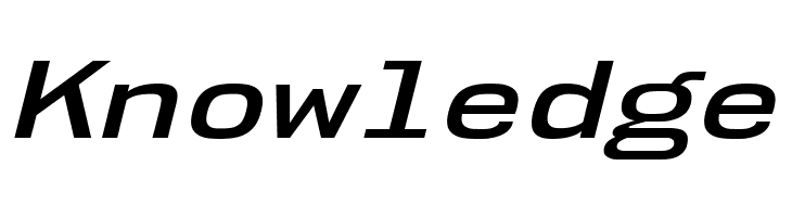 NK57MonospaceExSb-Italic  Free Fonts Download