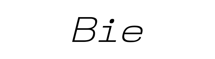 NK57MonospaceSeLt-Italic  Free Fonts Download