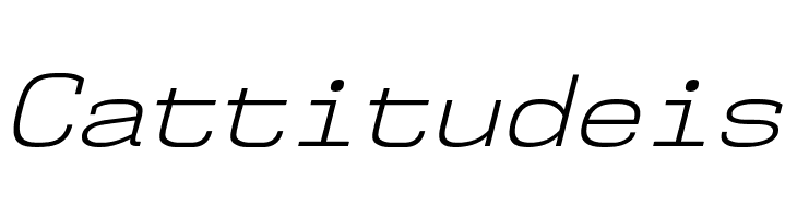 NK57MonospaceSeLt-Italic  Free Fonts Download