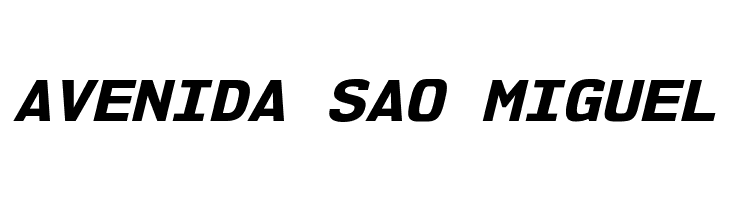 NK57MonospaceSeEb-Italic  Free Fonts Download