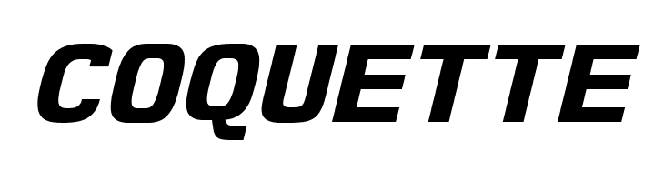 NK57MonospaceSeEb-Italic  Free Fonts Download