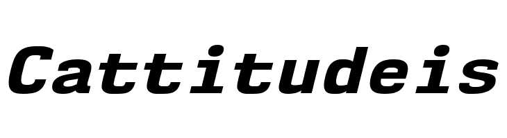 NK57MonospaceSeEb-Italic  Free Fonts Download