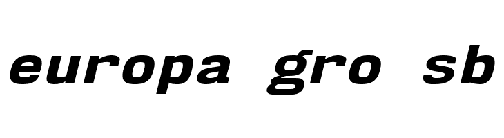 NK57MonospaceSeEb-Italic  Free Fonts Download