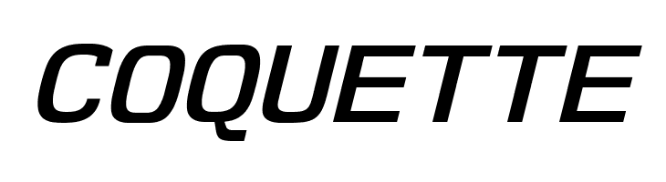 NK57MonospaceSeSb-Italic  Free Fonts Download