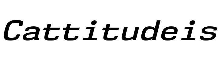 NK57MonospaceSeSb-Italic  Free Fonts Download