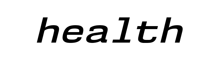 NK57MonospaceSeSb-Italic  Free Fonts Download