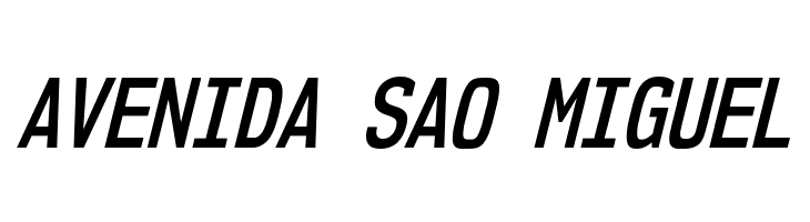 NK57MonospaceCdSb-Italic  Free Fonts Download